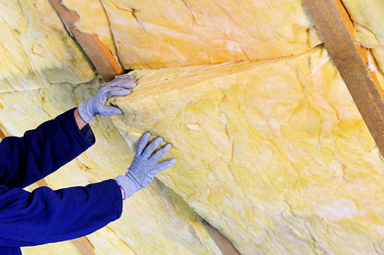 Insulation Removal photo